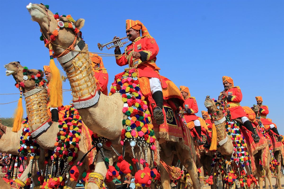 Camel safari in the Rajasthan desert
